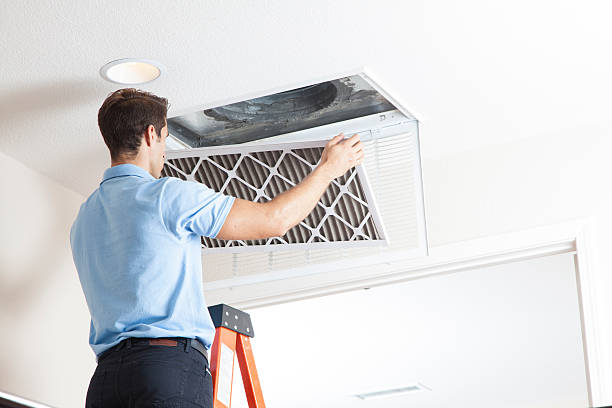 Best HVAC Companies Near Me  in Scotland Neck, NC